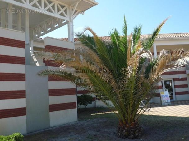 Soulac-Sur-Mer Avec Piscine Exterior foto